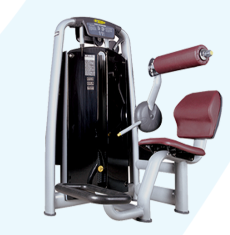 HR-824  Sitting back trainer