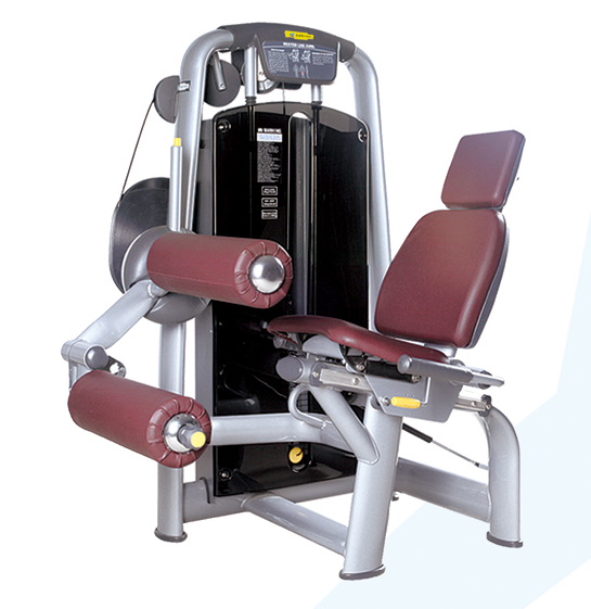 HR-819  Seated hind leg flexor and extension trainer